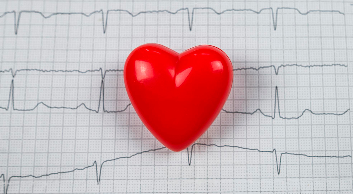 Curiosidades sobre o seu coração